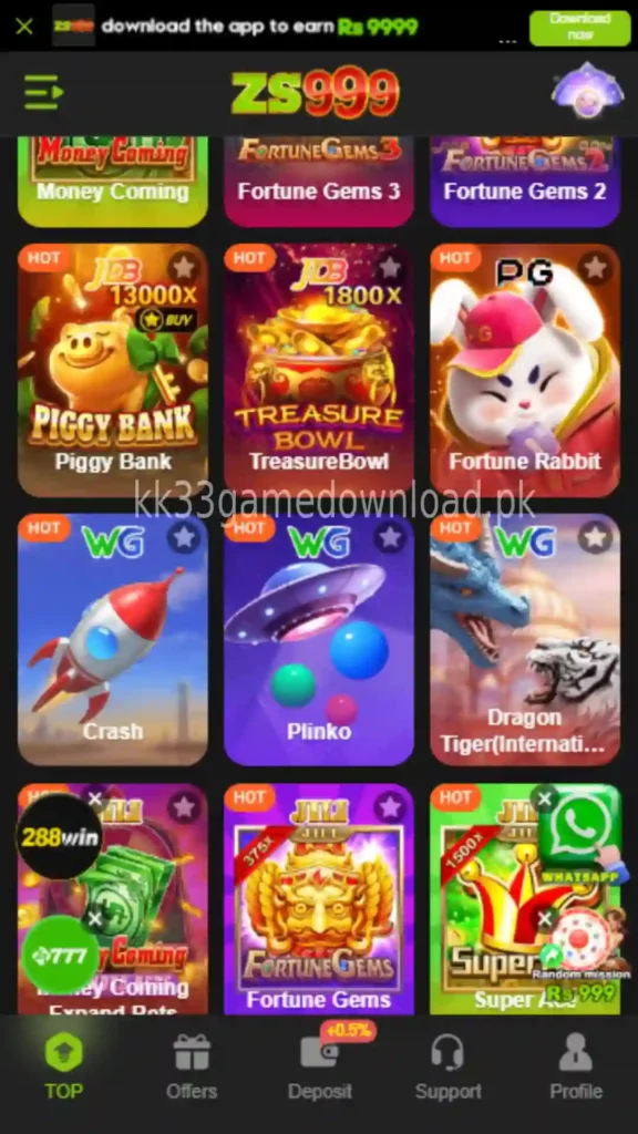 ZS999 Game
